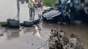 Tres personas y un can fallecieron en colisión vial