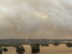 Un incendio de nivel 2 en Tres Cantos obliga a desalojar varias urbanizaciones y movilizar a la UME | europapress.es