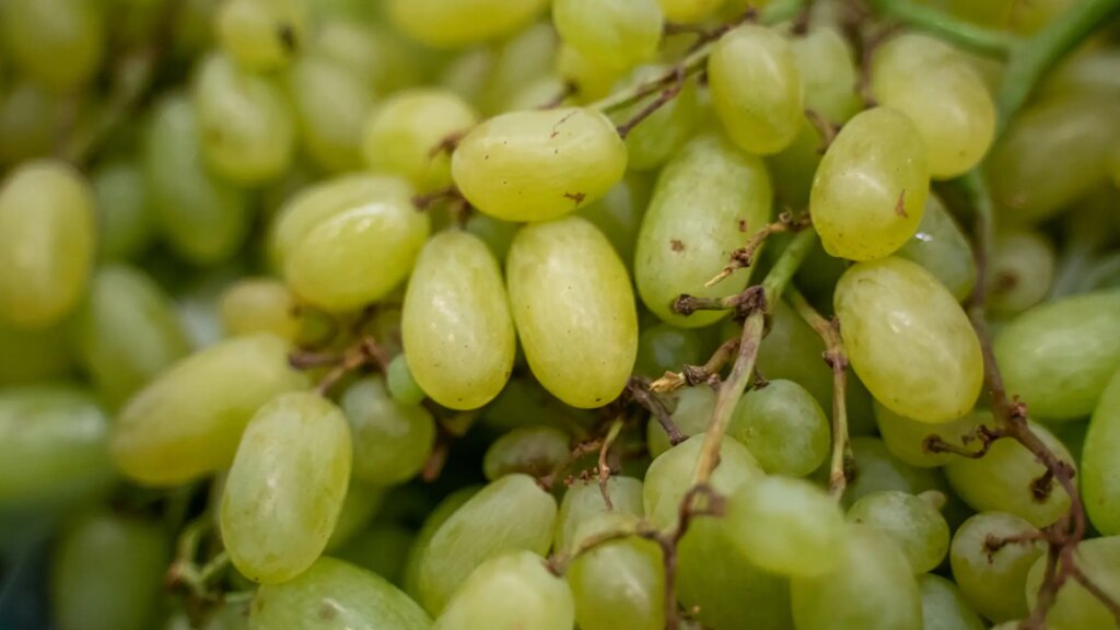 Un nuevo estudio define a las uvas como un "superalimento" por su múltiples beneficios