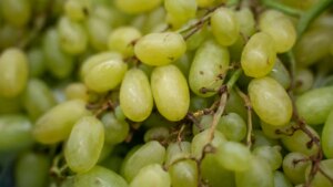 Un nuevo estudio define a las uvas como un «superalimento» por su múltiples beneficios
