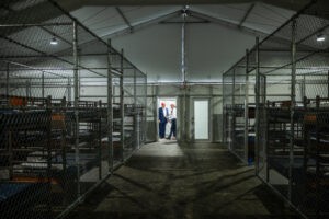 Una jueza frena la construcción del centro ‘Alligator Alcatraz’ por demanda ambiental