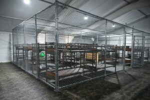 Una jueza ordena desmantelar el centro migratorio ‘Alligator Alcatraz’ dentro de 60 días – AlbertoNews