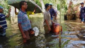 Vendavales causan estragos en 19 municipios de Córdoba, con dos personas alcanzadas por un rayo; en Sucre, emergencias en San Jorge y La Mojana
