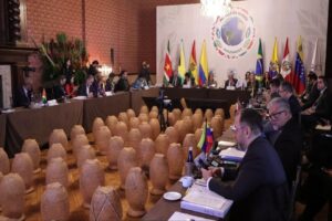 Venezuela comparte avances de la protección ambiental en Cumbre Amazónica – Correo del Orinoco