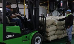 Venezuela exporta 95,9 toneladas de café verde a Estados Unidos