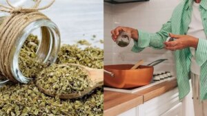 beneficios para la salud, propiedades medicinales y usos poco conocidos
