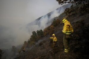 cómo reclamar y qué cubren los seguros tras el peor verano en la última década | europapress.es