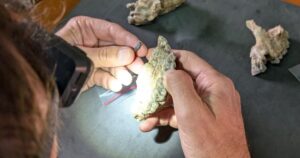 descubren en Etiopía una especie desconocida que convivió con los primeros Homo hace 2,6 millones de años
