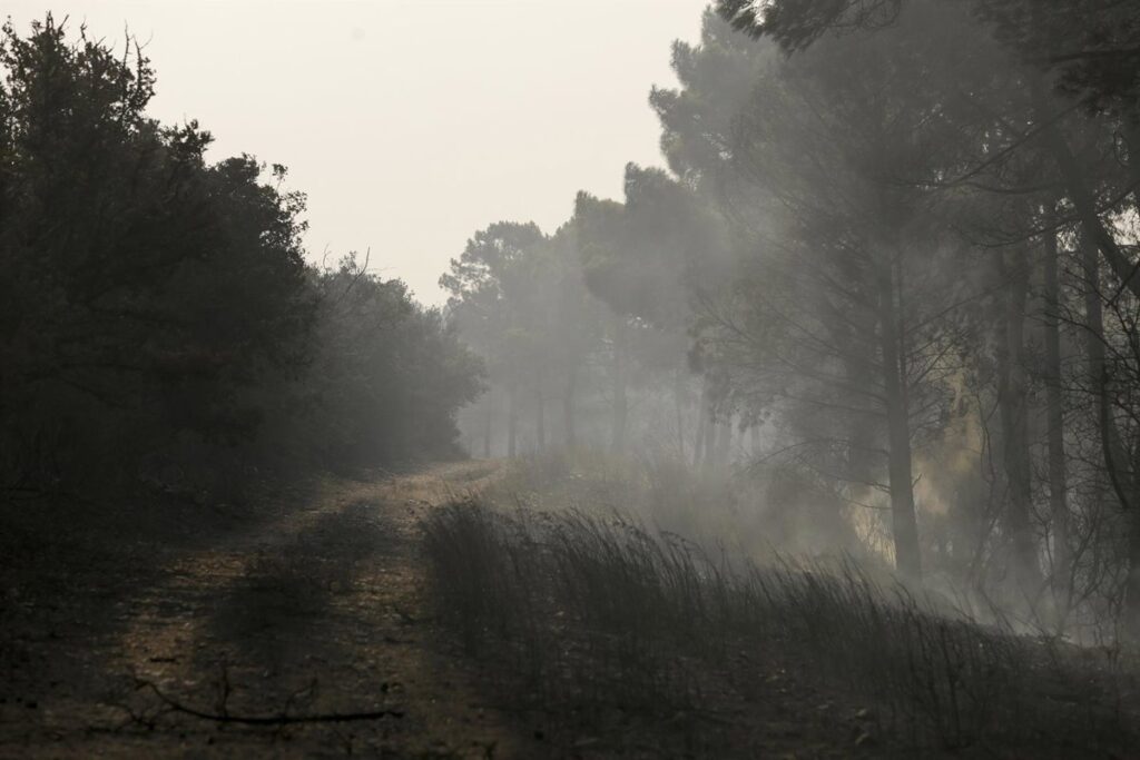 dos fallecidos, una veintena de heridos y miles de evacuados y hectáreas quemadas