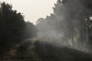 dos fallecidos, una veintena de heridos y miles de evacuados y hectáreas quemadas | europapress.es