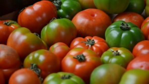 el mejor tipo de tomate que debes ponerle a tus ensaladas para potenciar su sabor