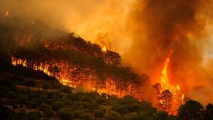 los incendios arrasan más de 362.000 hectáreas en solo tres semanas