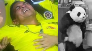 los mejores memes del partido entre Colombia y Brasil