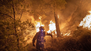 más de un millón de hectáreas fueron arrasadas por los incendios
