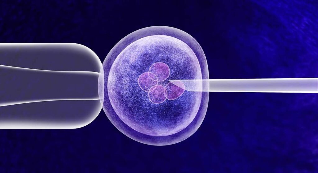nace la industria de test genéticos para cribar embriones