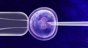 nace la industria de test genéticos para cribar embriones