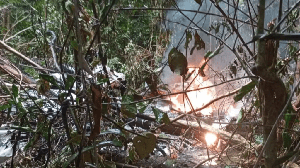 piloto y tres personas más mueren tras la caída de una aeronave Cessna 206
