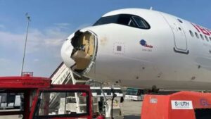 un buitre chocó contra un avión de Iberia que partía rumbo a París y forzó un aterrizaje de emergencia