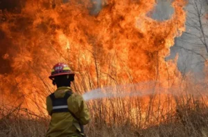 un llamado urgente ante el avance del fuego –