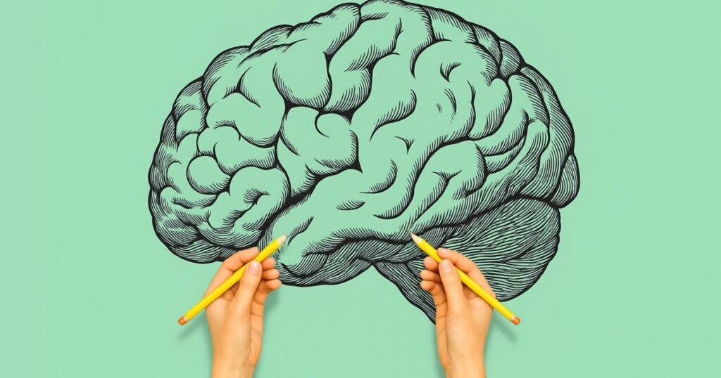 ¿Eres zurdo o diestro? Así cambia la forma en que tu cerebro procesa las imágenes