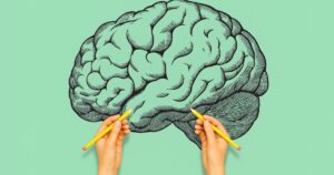 ¿Eres zurdo o diestro? Así cambia la forma en que tu cerebro procesa las imágenes