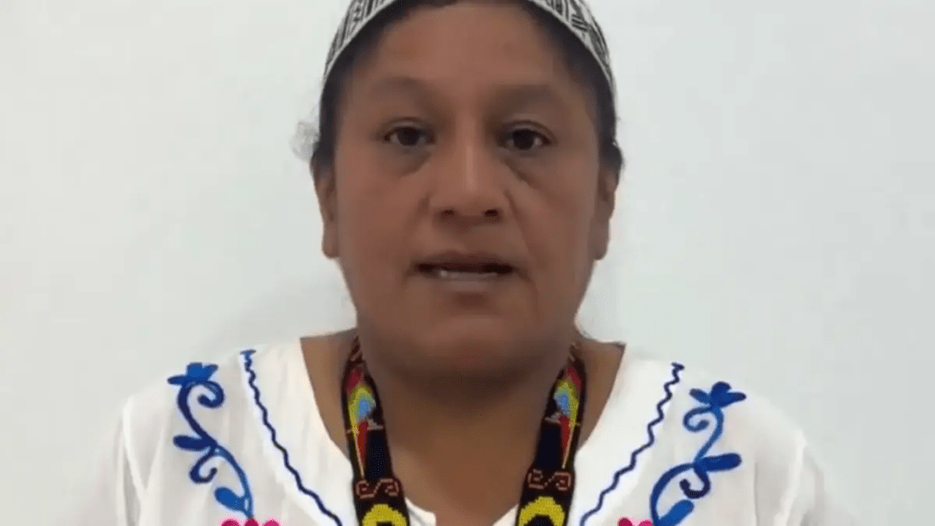 ¿Por qué la senadora Aida Quilcué discutió con una patrulla del Ejército en una vía entre Cauca y Huila? Esto dijo la congresista