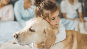 ¿Su perro suelta mucho pelo? Conozca las razas que más y menos mudan su pelaje, según expertos veterinarios