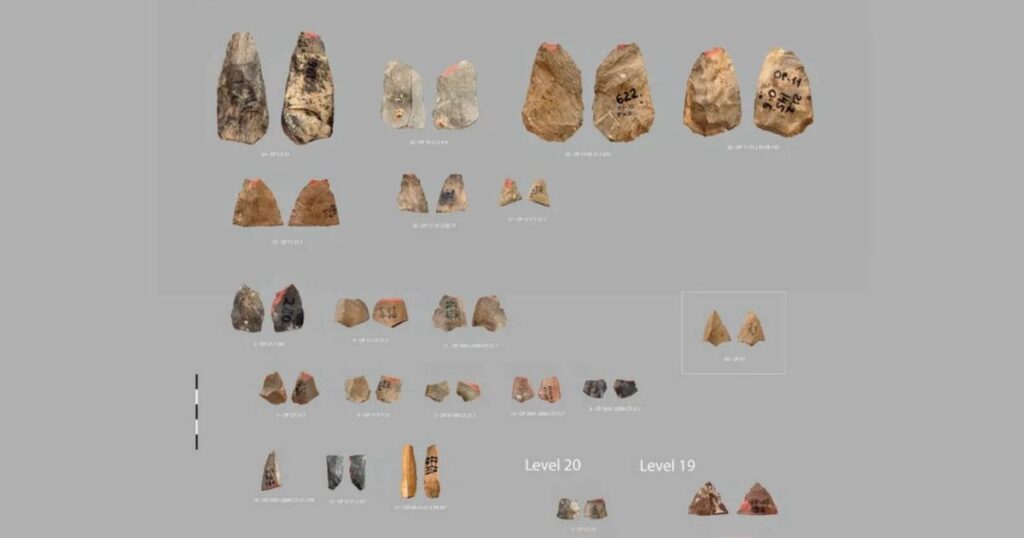 ¿Y si los neandertales inventaron el arco y la flecha? Descubren puntas de flecha de 80.000 años en Uzbekistán que podrían haber sido creadas por neandertales