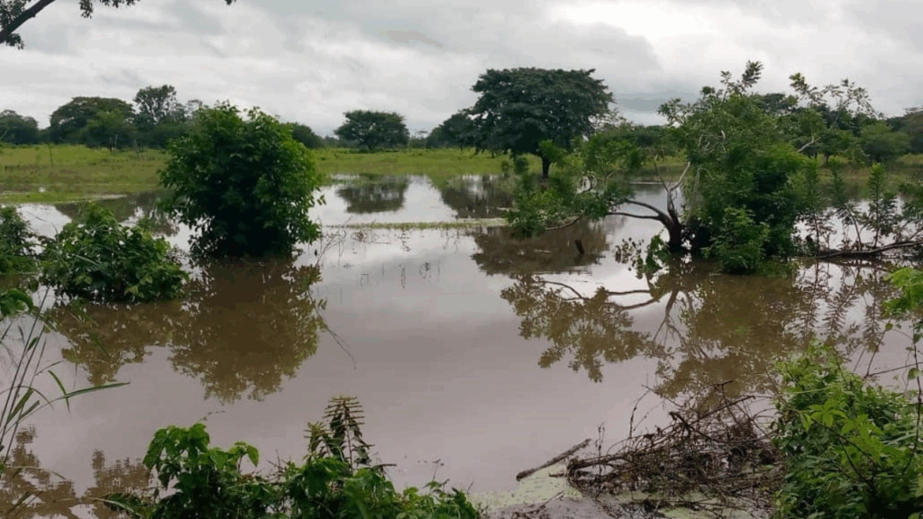 Abren vía hacia Ocumare de la Costa tras desborde de ríos