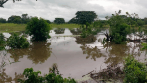 Abren vía hacia Ocumare de la Costa tras desborde de ríos