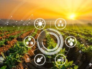 Agricultura y tecnología se unen: así está cambiando la innovación el campo y la producción en América Latina | Agro | Economía