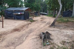 Alerta en Bolívar por detección de nueva especie de mosquito transmisor de la malaria