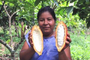 Aromático cacao se expande por compleja zona de Perú gracias a las mujeres : IPS Agencia de Noticias