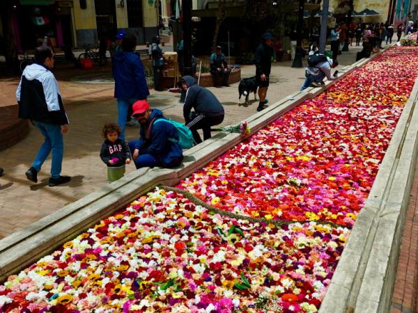 Así será la inauguración de la Bienal Internacional de Arte y Ciudad en Bogotá | Regiones | Economía
