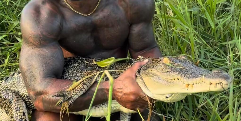 Australia investiga a un influencer estadounidense por grabarse luchando con cocodrilos salvajes