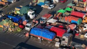 Avanzamos en la lucha contra el hambre, pero no todos por igual : IPS Agencia de Noticias