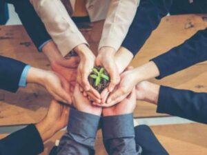Capitalismo consciente: cómo las empresas sostenibles logran más rentabilidad y resiliencia | Crecimiento | Economía