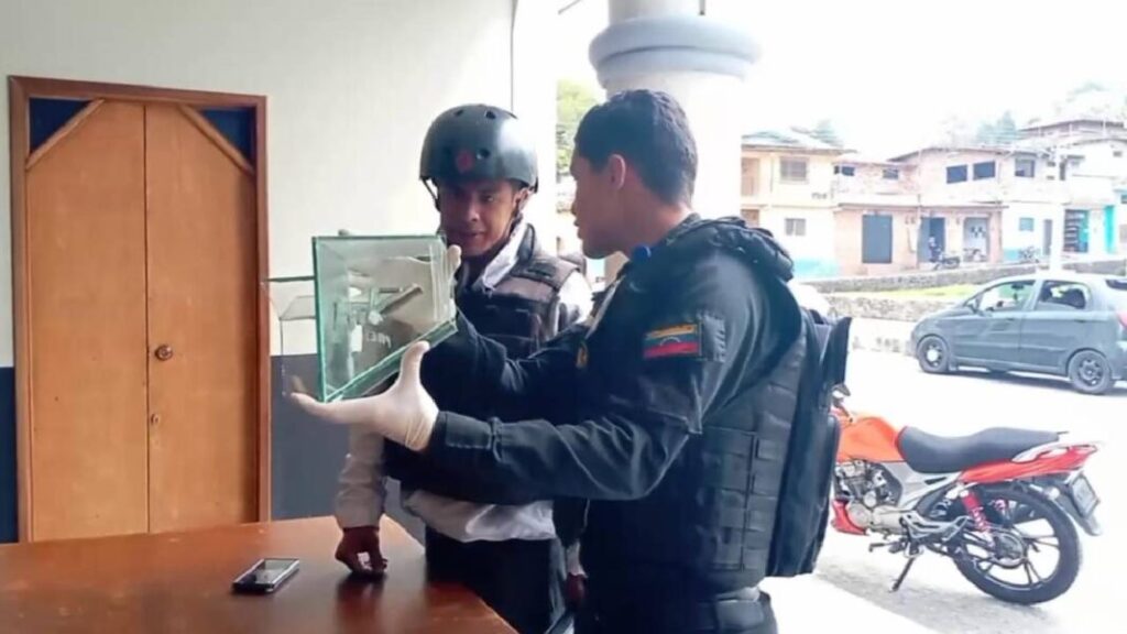 Cicpc investiga hurto de la reliquia de San Carlo Acutis de una iglesia en Mérida - AlbertoNews