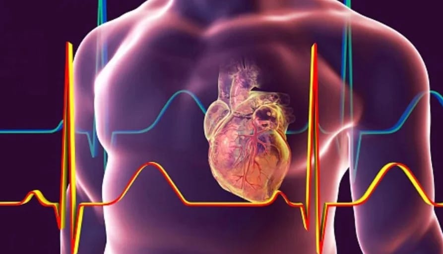 Científicos de EE.UU. crean una IA que busca prevenir infartos oyendo los latidos - AlbertoNews