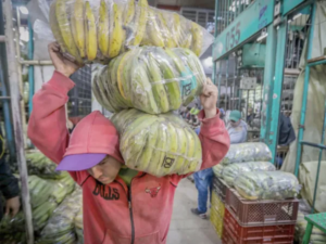 Corabastos asegura suministro de alimentos pese a cierre en la vía al Llano | Agro | Economía