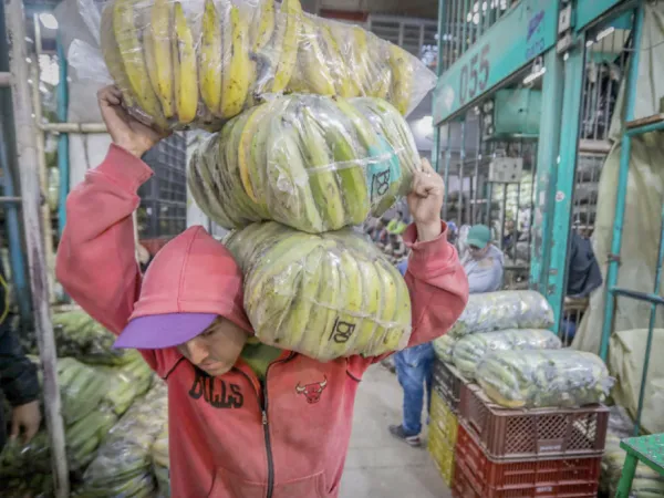Corabastos asegura suministro de alimentos pese a cierre en la vía al Llano | Agro | Economía