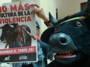 Corridas de toros no van más en Colombia: Corte Constitucional confirma prohibición | Regiones | Economía