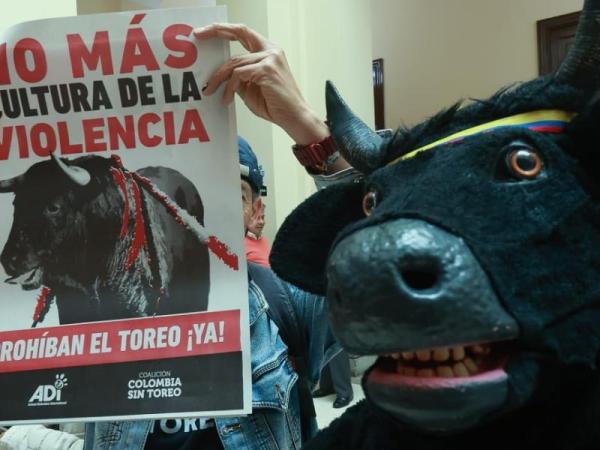Corridas de toros no van más en Colombia: Corte Constitucional confirma prohibición | Regiones | Economía