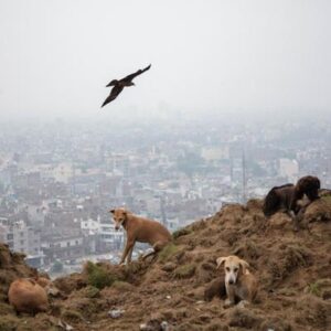 Cuál es la ciudad con la mayor contaminación atmosférica del mundo y qué sucede en Latinoamérica con la calidad del aire