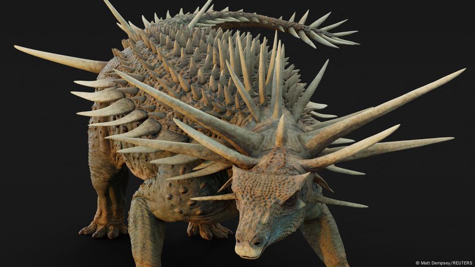 Descubren extraño dinosaurio con armadura plagada de púas – DW – 01/09/2025