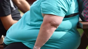 Descubren una nueva vía para tratar la obesidad aprovechando la grasa y sin dejar de comer