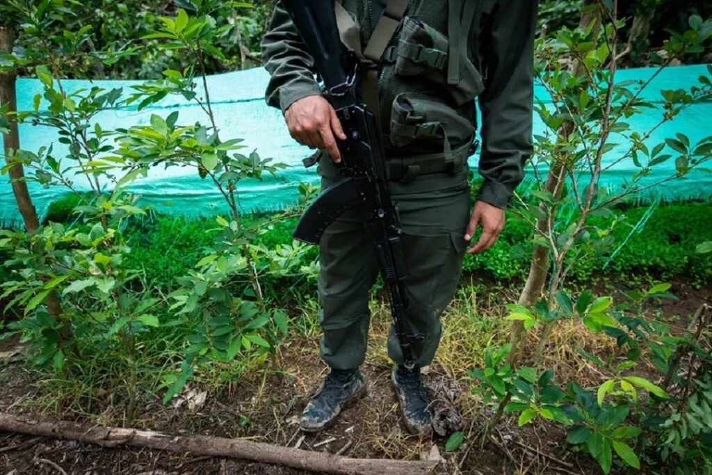 Destruida pista aérea clandestina del narcotráfico internacional