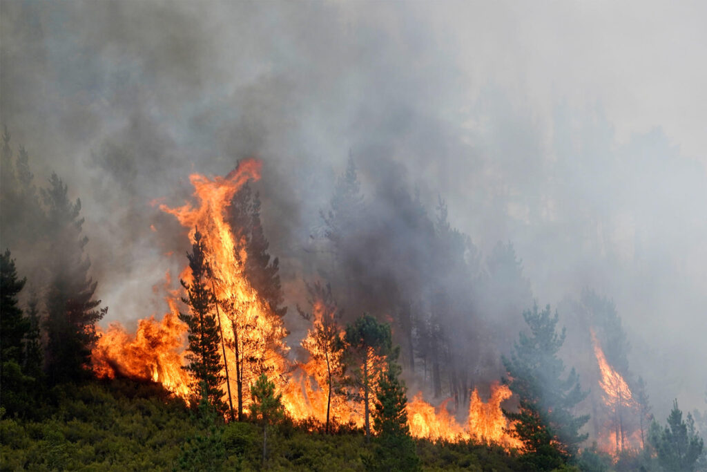 EEUU demanda a compañía eléctrica por mortal incendio en Los Ángeles - AlbertoNews