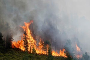 EEUU demanda a compañía eléctrica por mortal incendio en Los Ángeles – AlbertoNews