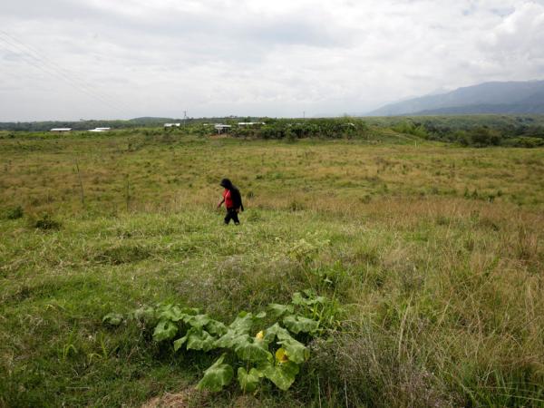 El andamiaje normativo que regula la propiedad de tierra | Regiones | Economía